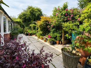 46 Salisbury Street_Garden2- click for photo gallery